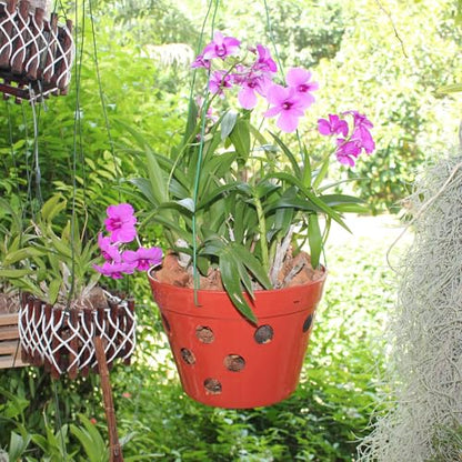 Set of 8 Strong Thick Plastic Hanging Orchid Pots with Holes and Hangers. 2 Each of 9 Inches Wide, 7.5 Inches, 6.5 Inches, 5.5 Inches, Orchid Pots for Repotting, Orchid Planters