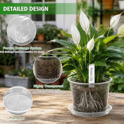 5/6/7/10 Inch Clear Nursery Pots with Drainage Holes and Saucers, 12 Pack Large Plastic Plant Pots for Seedlings, Succulents, Herbs, Flowers & Vegetables, Repotting and Growing