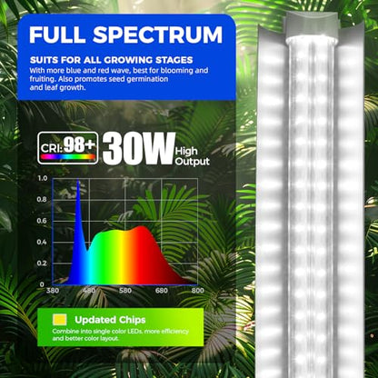 Barrina T8 Grow Lights for Indoor Plants, 3FT 5000K Full Spectrum, 6 Packs - size: 3FT