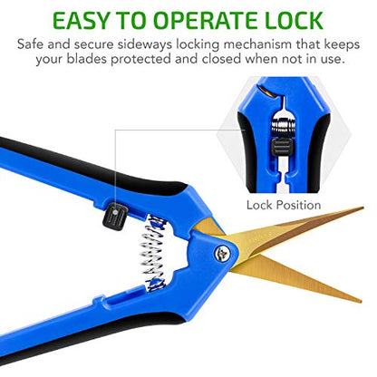iPower GLPRNR6BLTIX2 2-Pack 6.5” Gardening Hand Pruner Shears with Titanium Coated Curved Precision Blades for Trimming House Plants, Blue - size: 2-pack, style: Blue