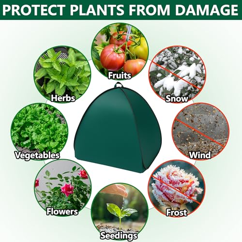 2 Pcs Pop Up Shrub Covers Frost Protection Tent, 38" x 36" x 36" Winter Plant Cover Freeze Protection, Warm Garden Plant Protector Tent for Protecting Outdoor Shrub Fruit Potted Plants from Snow & Ice - color: 36 x 36 x 38 inch