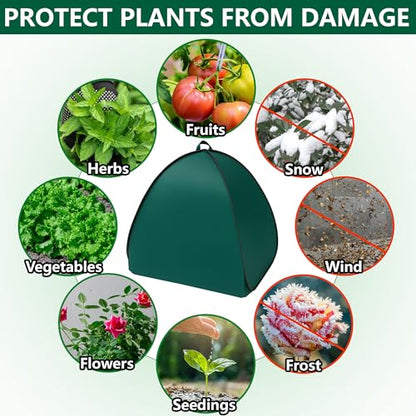 2 Pcs Pop Up Shrub Covers Frost Protection Tent, 38" x 36" x 36" Winter Plant Cover Freeze Protection, Warm Garden Plant Protector Tent for Protecting Outdoor Shrub Fruit Potted Plants from Snow & Ice - color: 36 x 36 x 38 inch