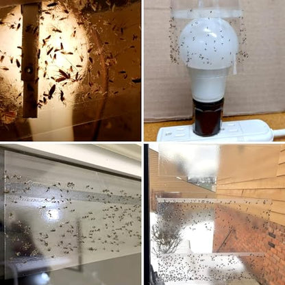 LFSYS 35XL Window Fly Traps Indoor Fruit Fly Traps for Indoors