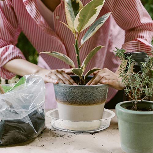 Rocutus Plant Saucer,20 Pack Plastic Plant Saucer Drip Trays Small Plant Plate Dish,Heavy Duty Clear Plastic Plant Saucers Flower Pot Tray Flower Pot Drip Pan for Indoor and Outdoor Plants (12 Inch) - size: 12 Inch
