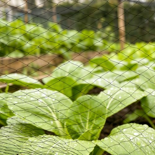 1" Square Mesh Bird Netting, Black Nylon Anti Bird Netting(98.43×49.21ft) - size: 98.43×49.21ft