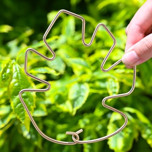 5PCS Monstera Stem Support Stake with Clip-5.5*4.7IN Stem Holder - size: 5.5 x 4.7 inches