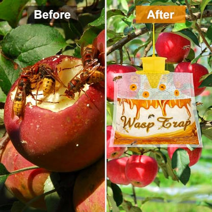 Disposable Wasp Traps Outdoor Hanging 6 Pack - size: 6 Pack