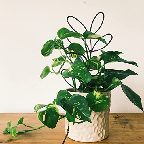 2Pack Indoor Plant Trellis Metal Wire Garden Trellis ，Small Climbing Leaf Shape Trellis for Garden Potted Plant Houseplant(Blackish) - color: Blackish