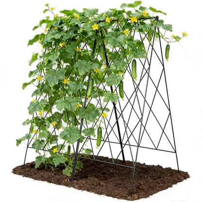 Cucumber Trellis 2 Pack,Foldable A-Frame Garden Trellis - color: Pitch Black, size: 39.4" H
