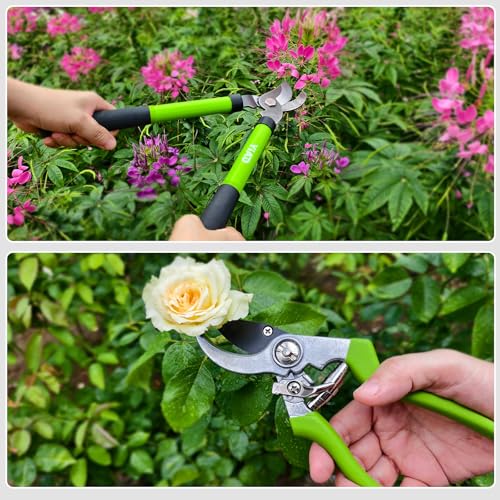YIAD High Carbon Steel Pruning Shears Loppers Set, Bypass Garden Clipper - style: Traditional
