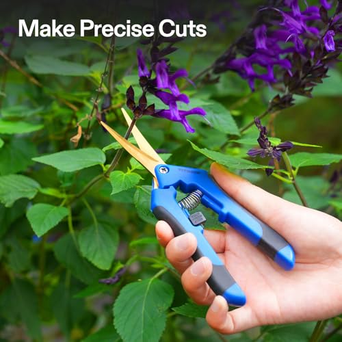 VIVOSUN 6.5 Inch Garden Scissors, Blue Pruning Shears for Plants, 6-Pack - style: Blue Curved Blade