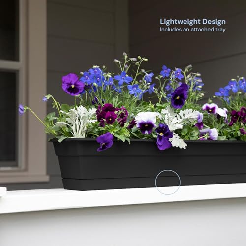 Bloem Dura Cotta 24" Plastic Window Box Planter with Saucer, Black - color: Black, size: 24"