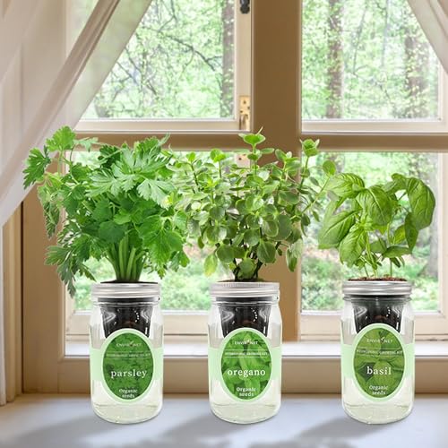 Hydroponic Herb Growing Kit Set, Self-Watering Mason Jar Herb Garden Starter Kit Indoor, Window Herbs Garden, Grow Your Own Plants from Organic Seeds (Basil, Parsley and Oregano) - color: Basil, Parsley & Oregano