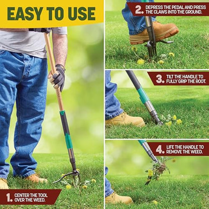 Papa's Tools Weed Puller Tool, 44" Stand Up Weeder Garden Tools & 4 Claw Steel Head, Dual Weed Eject Tech. Made with Real Bamboo & Long Wooden Handle, Yard Weeding Remover for Gardening Men & Women - color: Natural / Green