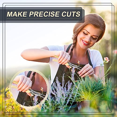 Chumia 30 Pcs Garden Shears Flower Pruning Scissors for Plants, Beige