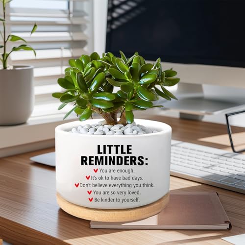Office Desk Shelf Decor, Funny Succulent Plant Pot (Plants Not Included) - style: Office-Little reminder