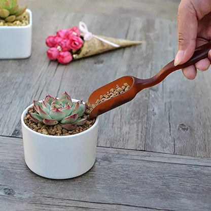 SONGZIMING 15 Pcs Succulent Plant Tools Set