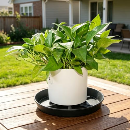 NIMYAU Plant Saucer 14 Inch 2 Pack Round,Thick Plastic with Elevated Center Plant Saucers, Excellent Drainage Drip Tray Catcher for Garden Planters - color: Black, size: 14" (4-Pack)