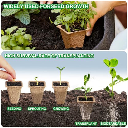 240 Cells Seed Starter Tray Kit, Biodegradable Peat Pots for Seedlings Trays, Plant Starter Seed Germination Kit with 40 Labels and 2 Transplant Tools (20, 240 Cells)