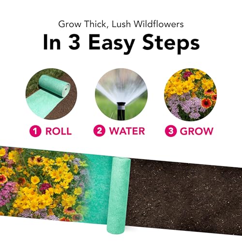 Growtrax Pollinator Wildflower & Sunflower Seed Mix - 40 Sq Ft - style: Pollinator Mix