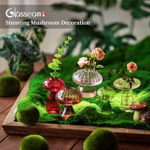 Glasseam Mushroom Plant Propagation Station: 10 Pcs Glass Mini Terrarium - color: Colorful, size: 10