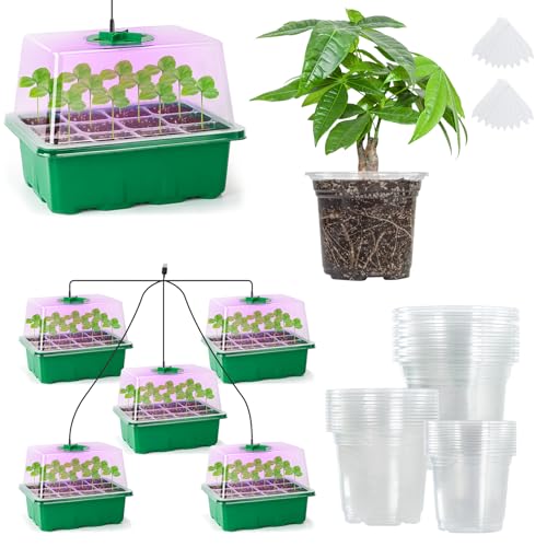 The Bundle of Bonviee 5 Packs Seed Starter Tray with Grow Light and 36 Packs Variety Sizes Clear Nursery Pots
