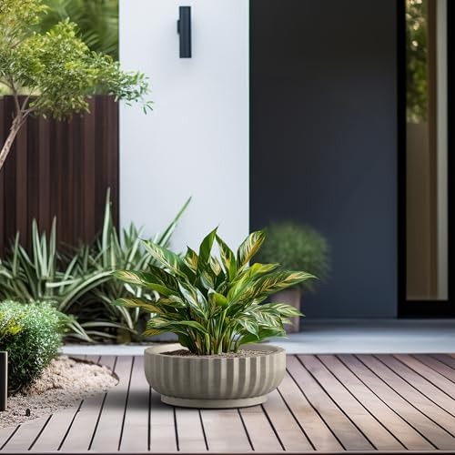 Kante Accent Round Shallow Weathered Concrete Planter 14.6" Dia, Outdoor - color: Weathered Concrete, size: 14.6"w x 5.5"h