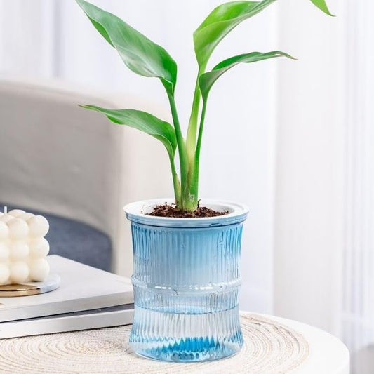 Lazy Hydroponic Flower Pot Automatic Water-Absorbing Plant Pot Transparent Double Layer Plastic Self Watering Planter Office Home Greenery Decor(Lake Blue) - color: Lake Blue