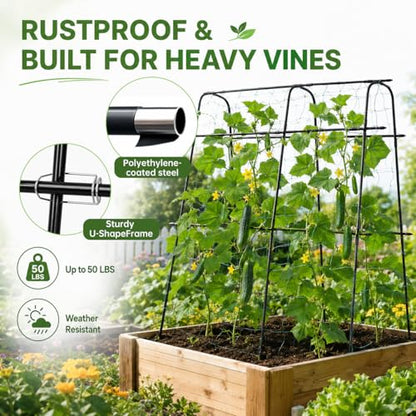 63x63 Cucumber Trellis for Raised Garden Bed, Black - size: 63" x 16" x 63"
