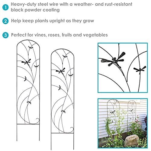 Sunnydaze 56" Black Metal Garden Trellis for Climbing Plants, 2-Pack - style: Dragonfly Delight - 56"