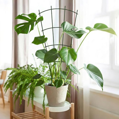 Thealyn 24" Metal Plant Trellis, Climbing Plant Support, 4 Pack (Green) - color: Green, size: 24 inch