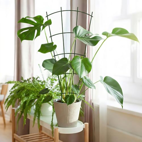 Thealyn 24" Metal Plant Trellis, Climbing Plant Support, 4 Pack (Green) - size: 24 inch