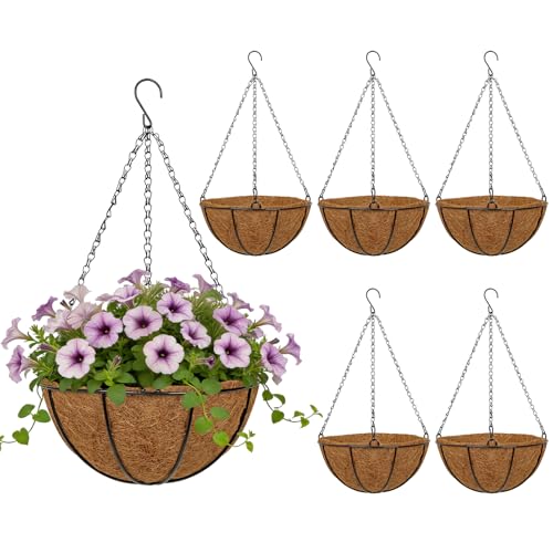 10 Inch Metal Hanging Basket with Coco Coir Liner for Flowers Planting, 6 Pack Hanging Baskets for Plants Outdoor, Round Wire Planters with Chain for Home Patio Porch Balcony Garden Decor - size: 10" & 6 Pcs