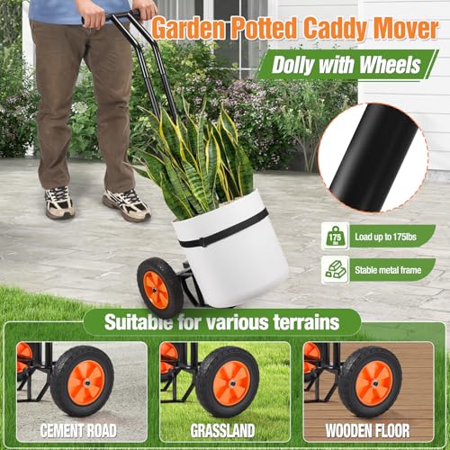 Plant Caddy with Wheels, Heavy Duty Plant Mover Cart with Adjustable Grabbing Arm and Strap, 175 LBS T-Handle Plant Dolly with Suction Cups for Plant Pots Garden Pot Trolley Indoor Outdoor Use, Black - color: Black