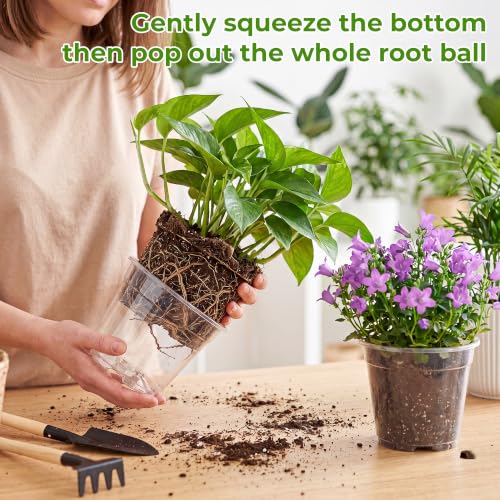 Sturdy 12 Pack Clear Nursery Pots 5/6/6.5/7.5/8/10 Inch with Drainage Holes