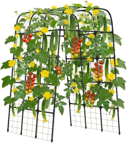 7FT Garden Trellis Arch for Climbing Plants – Tall Outdoor Metal Trellis for Vegetables, Peas, Tomatoes,﻿ Cucumber Trellis Arch & Vertical Garden Climber Plant Support for Vine Plants - size: 57.09 inch × 39.37 inch × 82.68 inch