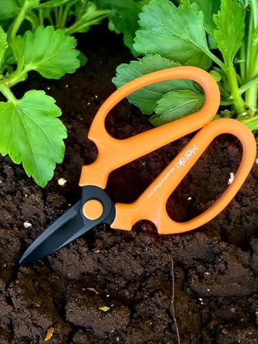 Garden Pruning Shears Scissors Carbon Steel Blades 7.0 In, Ornithogalum - Orange - style: 7.0 inch Orange