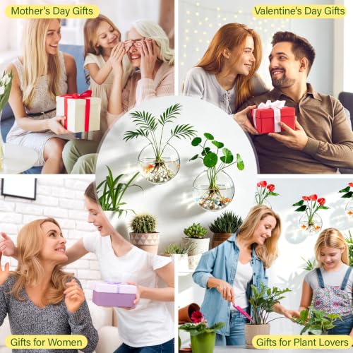 Window Propagation Stations, Wall Hanging Planters for Hydroponics
