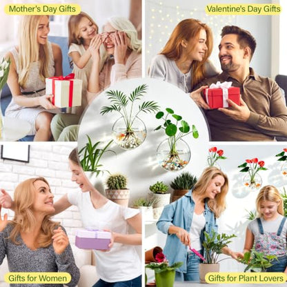 Window Propagation Stations, Wall Hanging Planters for Hydroponics