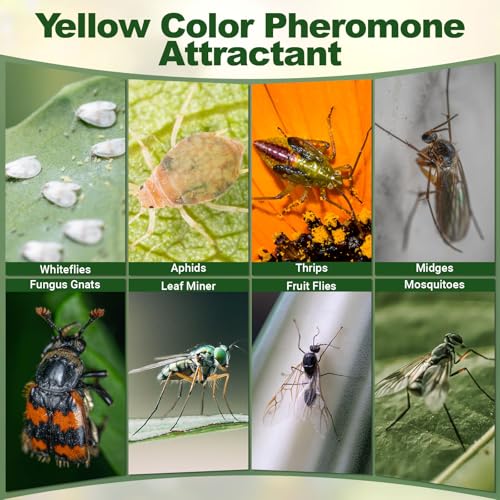 40 Piece Hanging Insect Fly Glue Trap, Sticky Traps with Attractant, Yellow Sticky Fly Strips Gnat Traps for Kitchen, Indoor Plants, Garden Adhesive Glue Boards