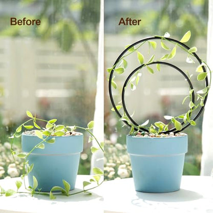 GOOOXIM Premium Hoya Trellis Unique Metal Plant Support for Climbing Plants - color: Black