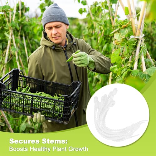 M METERXITY 24-Pack Adjustable Plant Ties, 4.7/5.9/6.7/8.2 Inch Silicone Flexible Multi-Function Garden Twist Tie for Crafts/Gift Wrapping/Gardening Plants, Reusable Support Twine [White] - color: White
