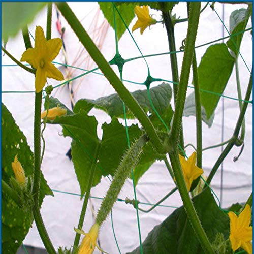 Green Trellis Netting 4x100 ft Heavy Duty Garden Netting Polypropylene Plant Support Net for Climbing Vegetables Fruits Flowers - size: 4x100 ft