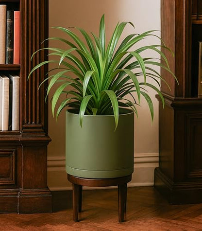 D'vine Dev Plastic Planter Pot with Saucer, 8 in, Olive, 74-X-I-1 - color: Olive, size: 8 Inch