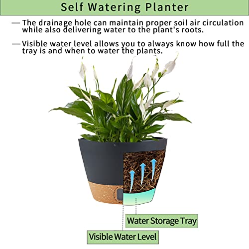 2 Pack Hanging Planters for Indoor Outdoor Plants, 10 Inch Hanging Flower Pot Basket with Drainage Hole with Removable Tray&Hooks Self Watering Plant Pot for Hanging Plants, Dark Grey