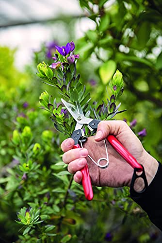 Felco Pruning Shears (F 7) & FELCO322 Snips - Swiss Made Garden Pruners & Picking Shears Bundle