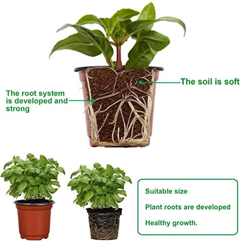 Augshy 40 Pcs 6 Inches Plastic Plant Nursery Seed Starting Pot for Outdoor - size: 6 Inch