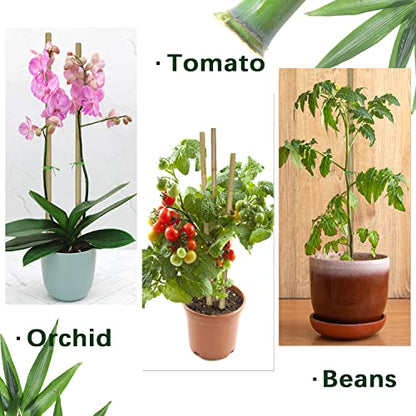 Plant Stakes,16IN Natural Garden Bamboo Sticks, 20Pcs Plant Support Stakes - size: 16 Inches, Pack of 20