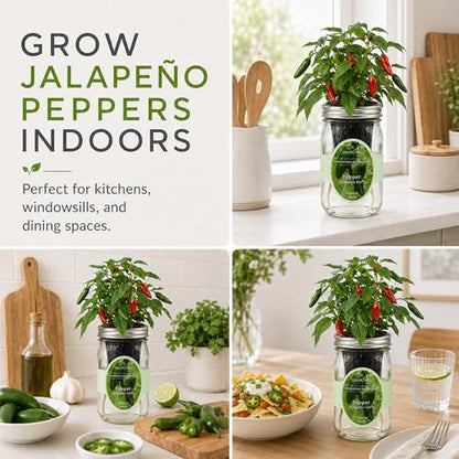 Hydroponic Pepper Growing Kit, Self-Watering Mason Jar Vegetable Starter Kit Indoor, Grow Peppers from Organic Seeds (Jalapeño Early Pepper) - color: Pepper - Jalapeño Early