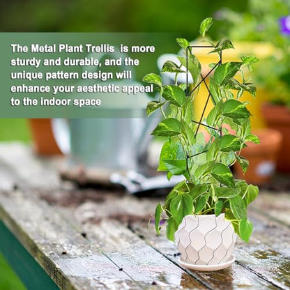 17.5 inch Small Trellis for Potted Plants, Metal Plant Trellis Indoor - color: Star-Metal